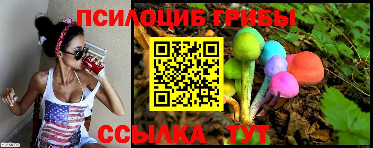 Галлюциногенные грибы Magic Shrooms  купить  цена  Гулькевичи  Вход с VPN 